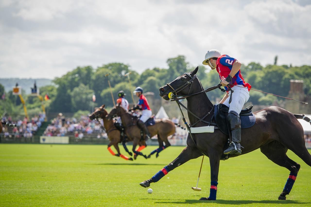 Cowdray Lodge มิดเฮิร์สต์ ภายนอก รูปภาพ